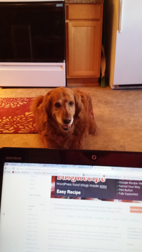 Life in the midst of it all