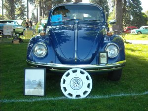 Lauras pictures 720 (2)