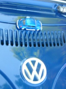 Lauras pictures 721 (2)