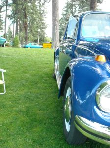 Lauras pictures 735 (2)