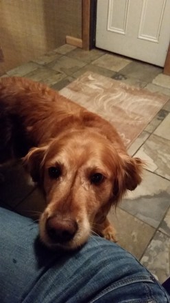 Fun Times on Vacation back Home