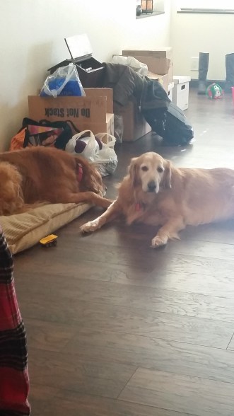 starting off the new year