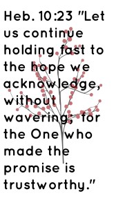 faithfulness-virtueseries