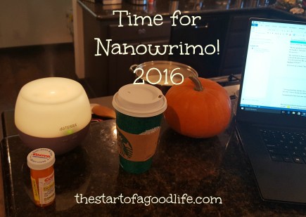 timefornanowrimo2016