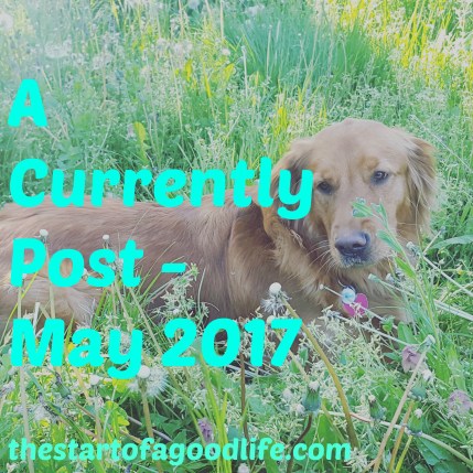 crrntlypostmay2017