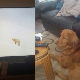 IMG_20170417_180119_620