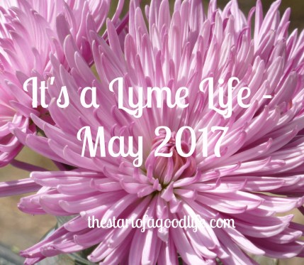 itsalymelifemay2017