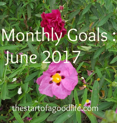 mnthlygoalsjune2017