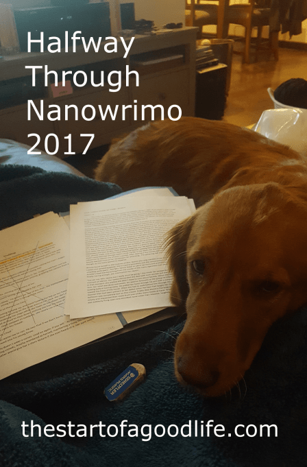 halfwaythroughnano2017