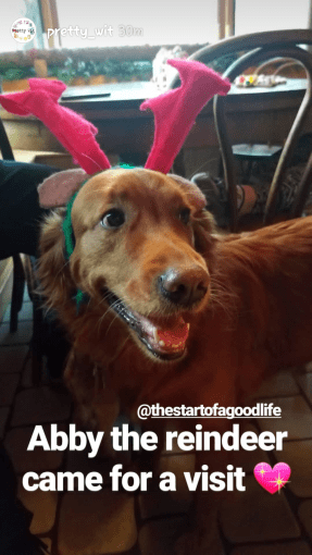 Screenshot_20171217-215732