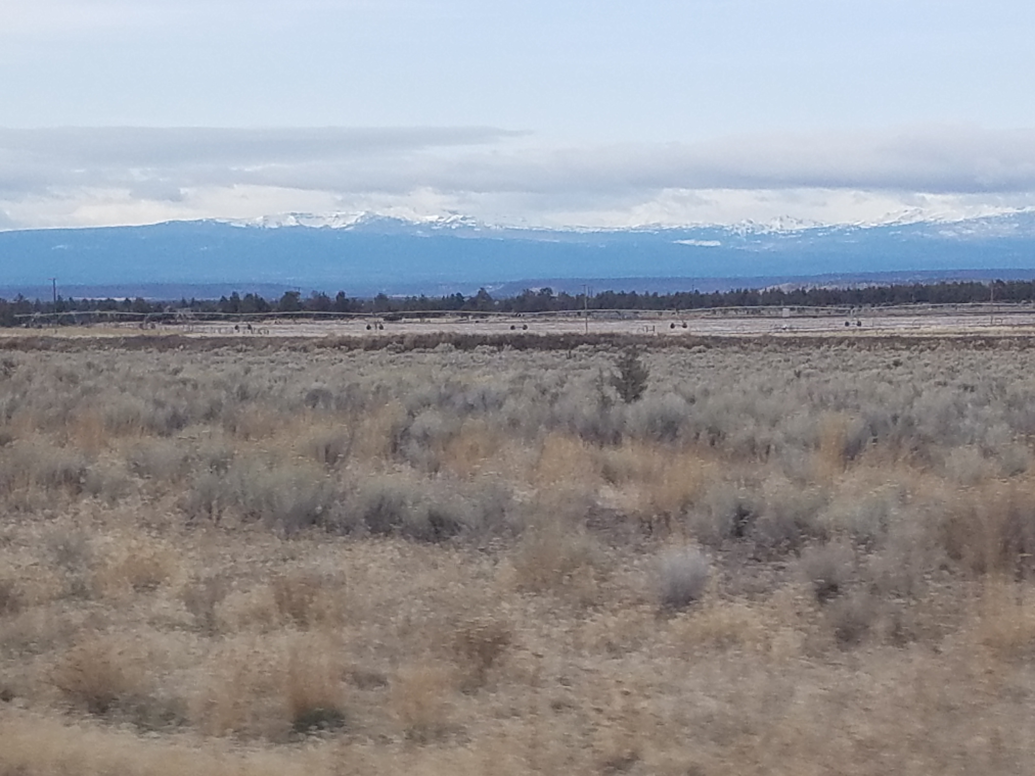 20180203_091829