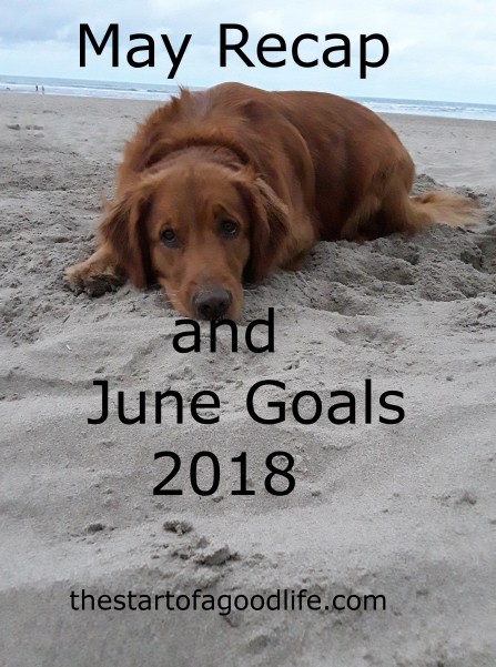 mayrecapjunegoals2018