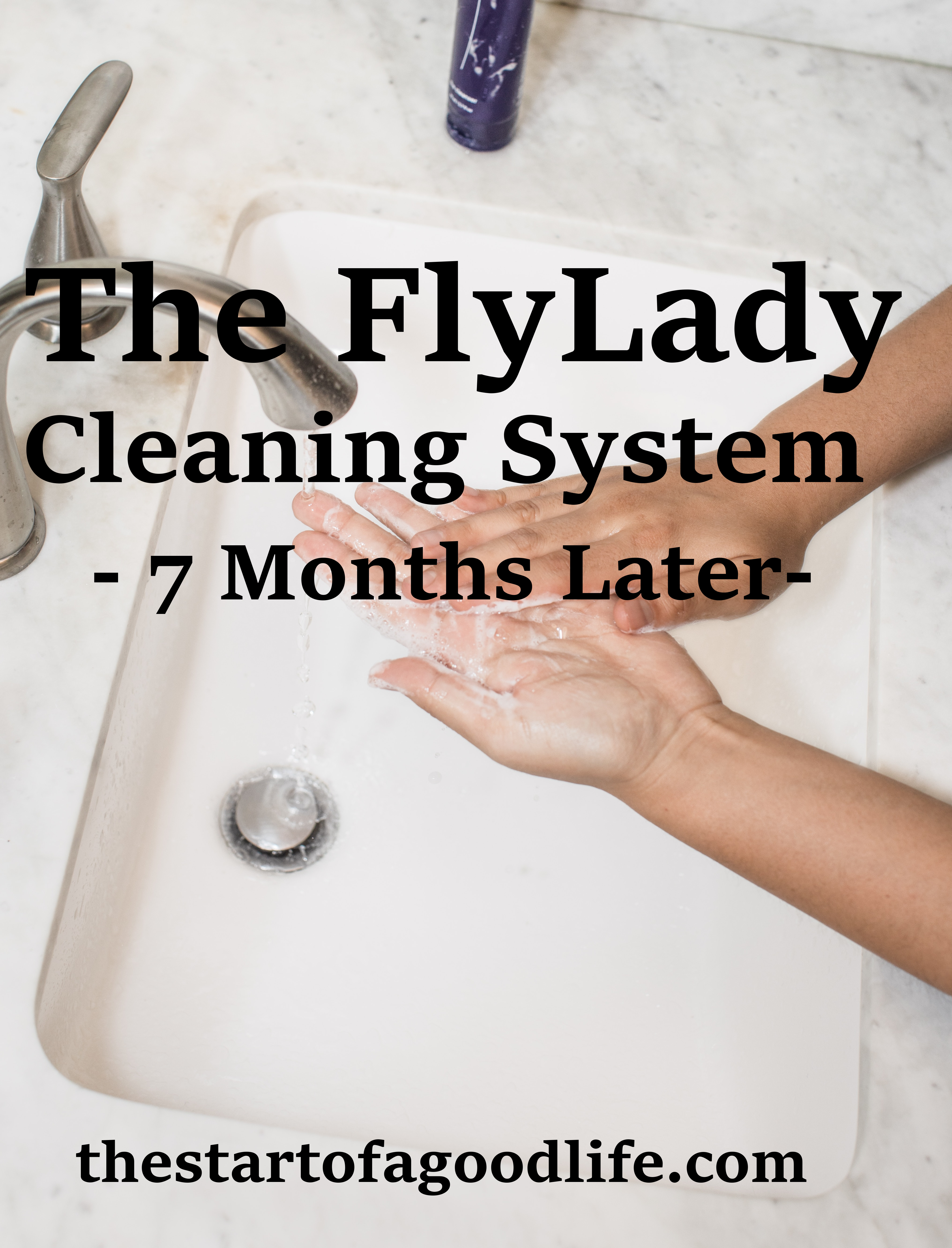 flyldycleaningsystem